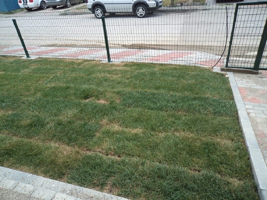 Ezgi Apartmanı